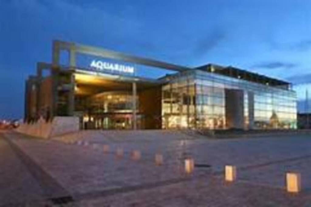 L'alize Sera Votre Petit Coin De Paradis Holiday home Sainte-Soulle